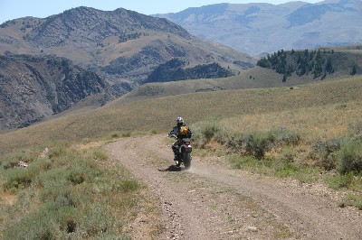 Morgan Creek