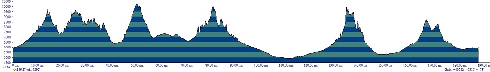 D4 Profile