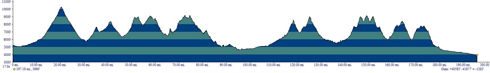 D& Profile