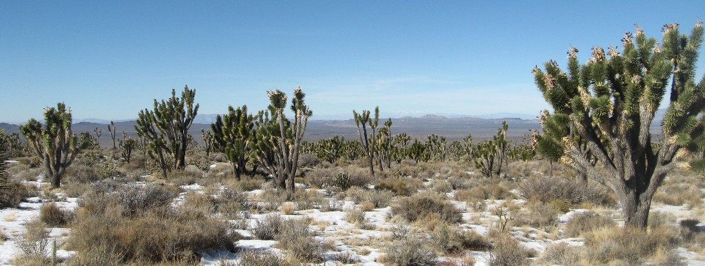 Cima Dome