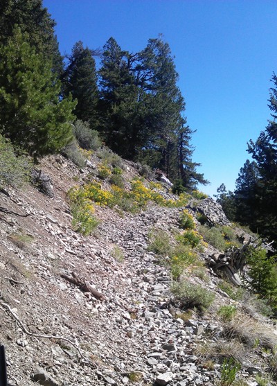 Massacre Mountain Loop