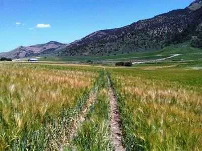 Boundary Trail