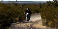 mojave