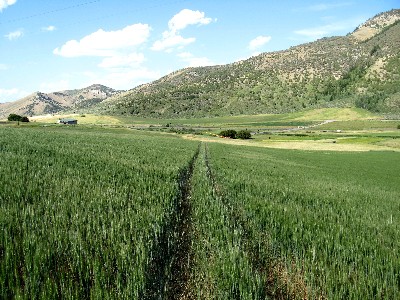 The Boundary Trail