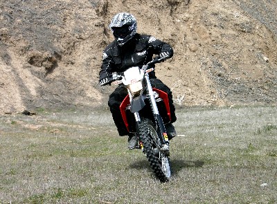 rxv 450